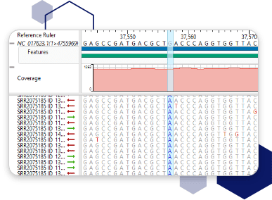 GenVision Pro 全基因组可视化
