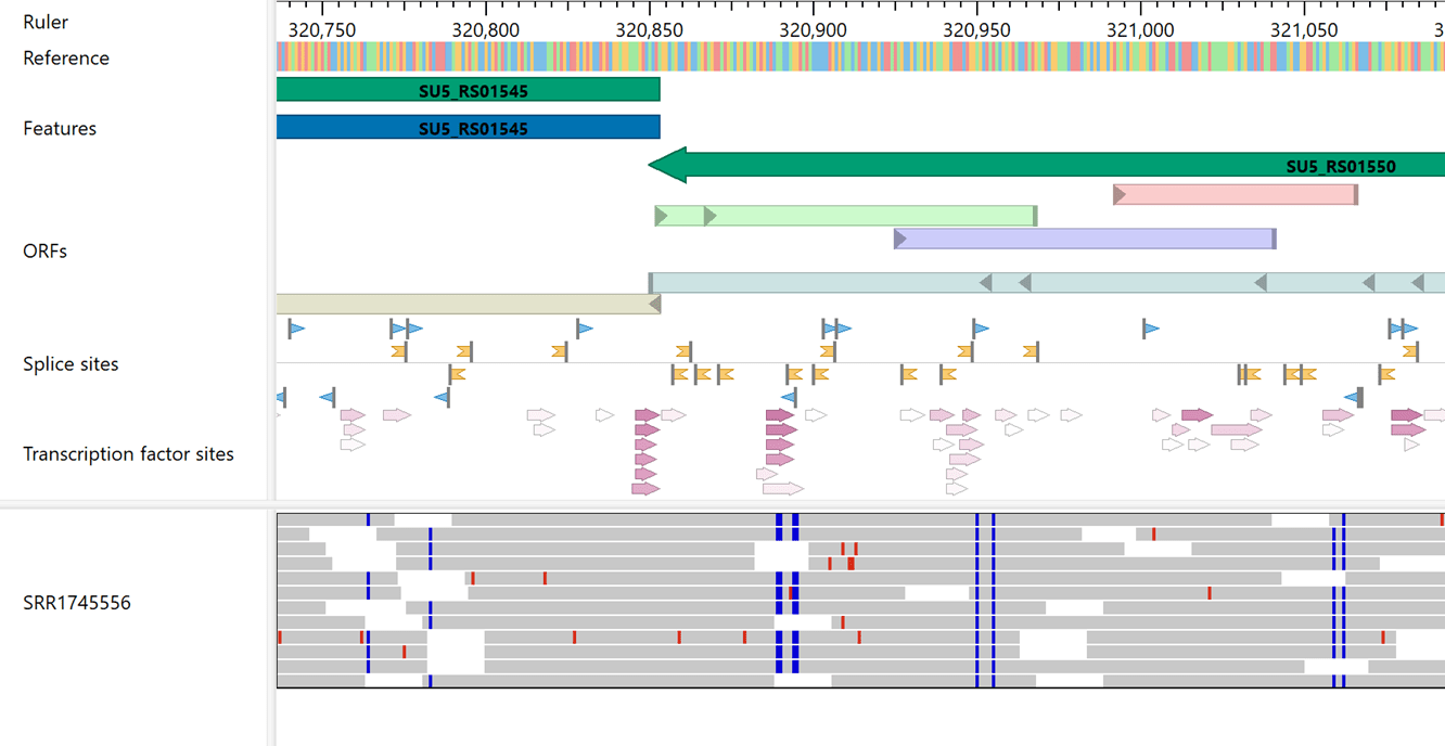 Lasergene Genomics 工作流界面