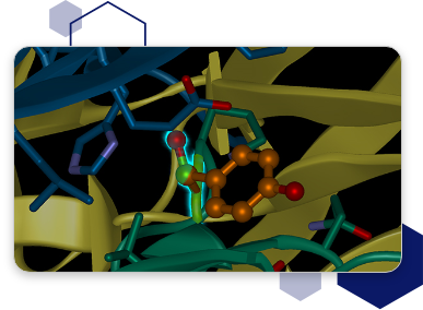 ArrayStar RNA-Seq 分析
